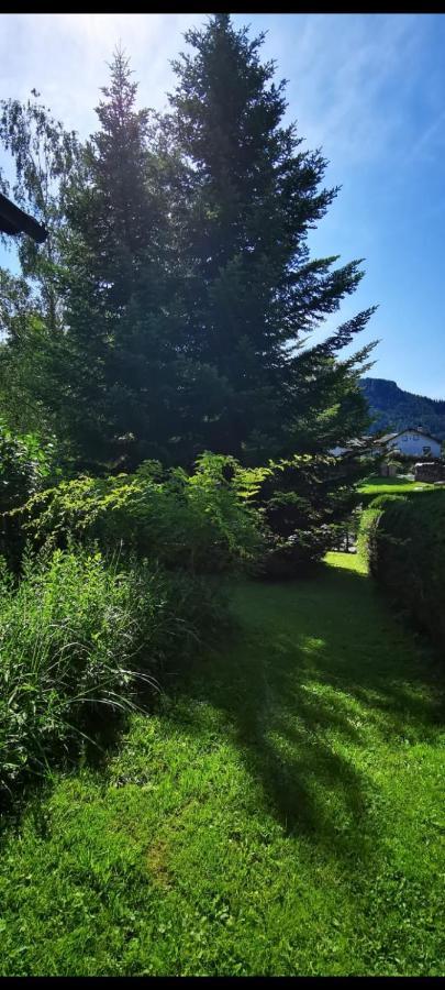 Ferienwohnung Haus Annaburg Mariazell Exterior foto
